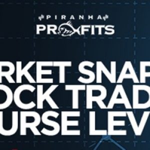 Piranha Profits – Stock Trading Course Level 2 Market Snapper