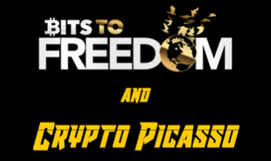 Crypto Picasso Bits to Freedom Video Course Crypto Picasso Bits to Freedom Video Course