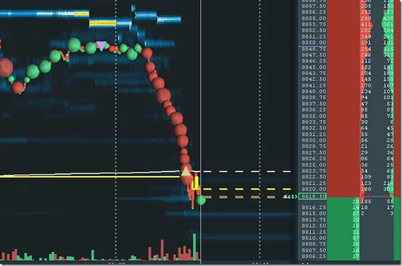 Scott Pulcini – NQ full order flow course