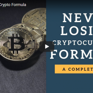 Sean Bagheri – The Never Losing Cryptocurrency Formula