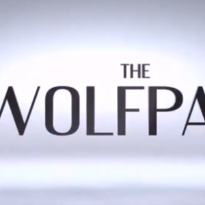 Stock Market Wolf – Wolf Pack Course